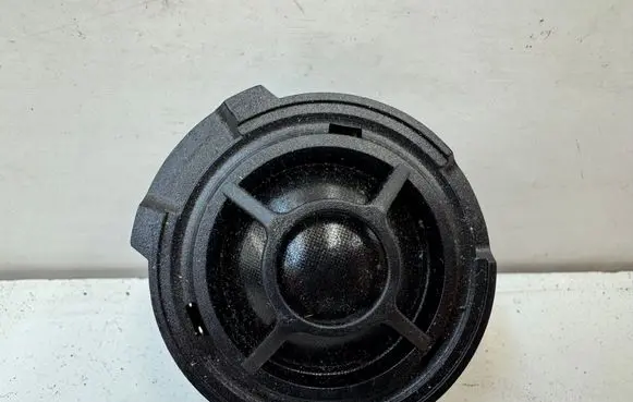 Audi S5 F5 Panel speaker 8W0035397