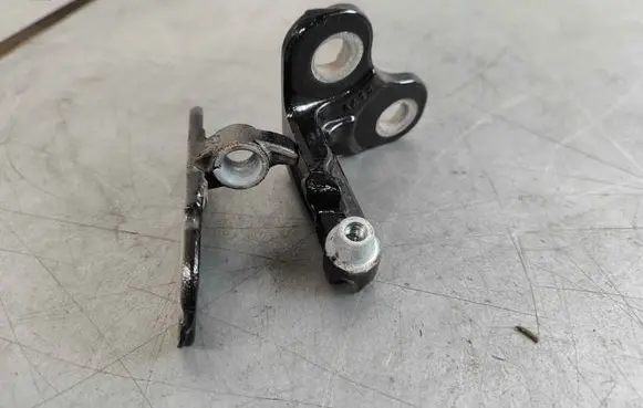 Rear door lower hinge