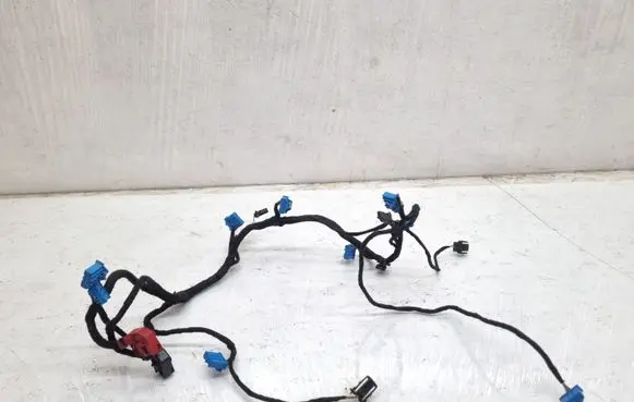 Audi A6 S6 C6 4F Other wiring loom 2464701462 8E0972420