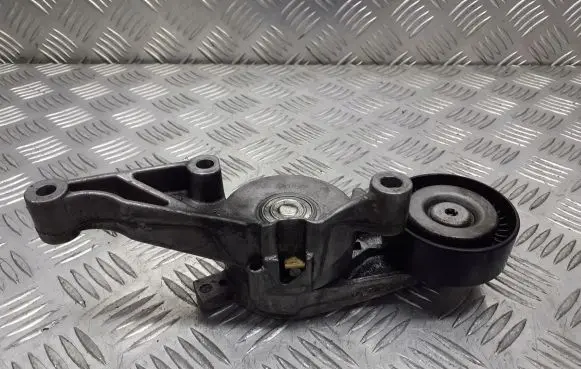 Seat Leon (1P) Alternator belt tensioner pulley 03G903315C