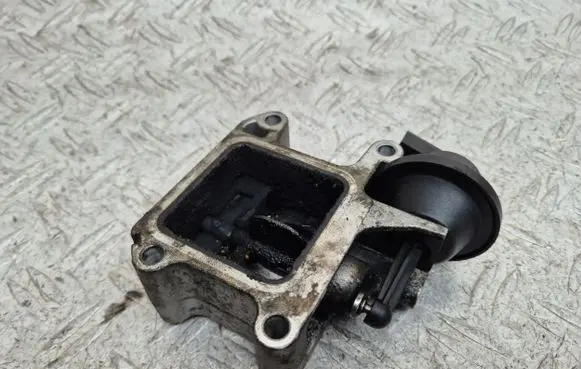 Volvo C30 Throttle valve