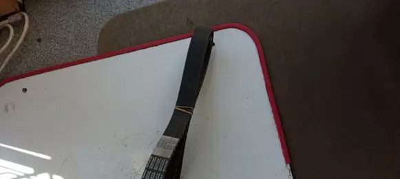 Citroen C5 Timing belt CT1037