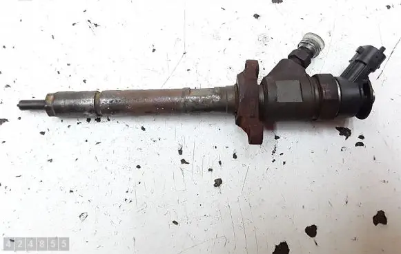 Citroen C3 Picasso Fuel injector 0445110311