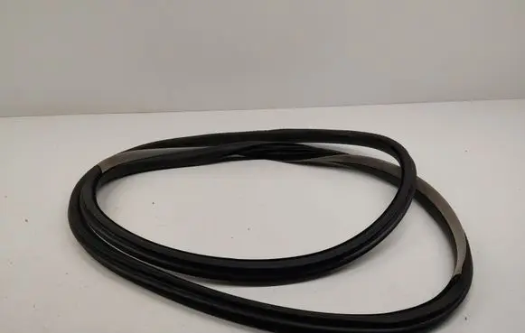 Renault Latitude (L70) Rear door rubber seal (on body) 