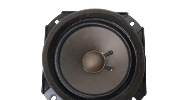 Chevrolet Corvette C7 Front door speaker 23128683