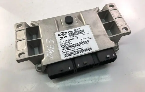 Engine control unit/module ECU