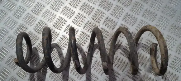 Peugeot 406 Rear coil spring
