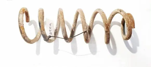 Peugeot 406 Rear coil spring
