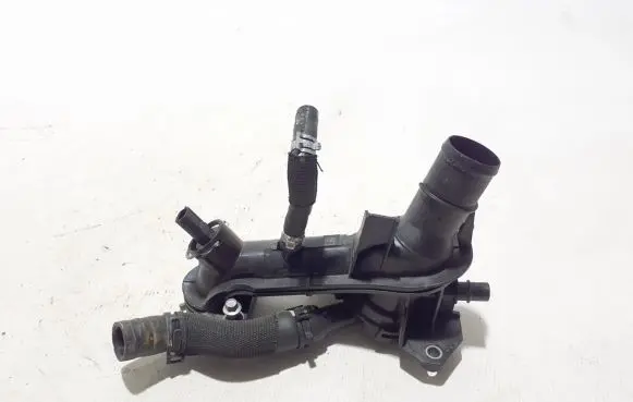 Thermostat/thermostat housing