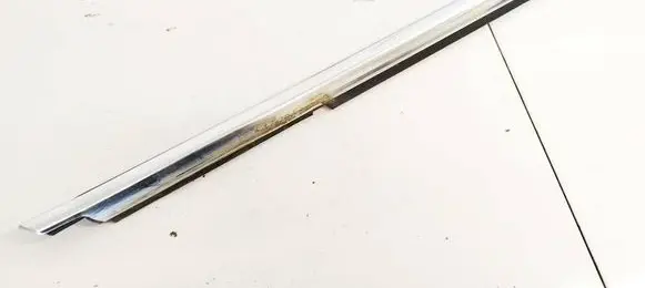 Mercedes-Benz S W221 Front door glass trim molding