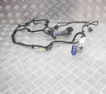 Maserati Quattroporte Front door wiring loom 06700093500