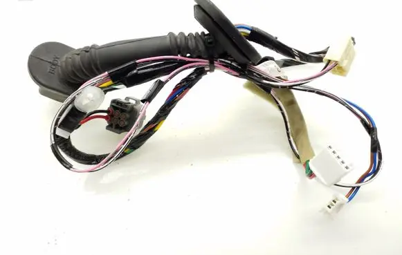 Rear door wiring loom