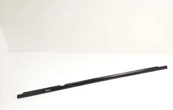 Rear door glass trim molding