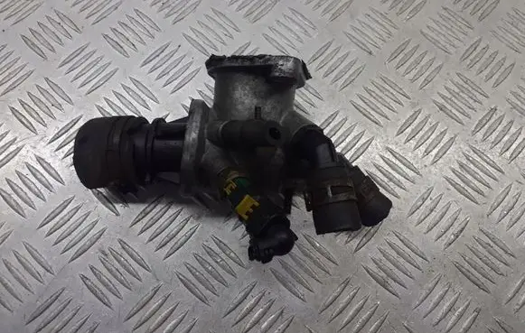 Thermostat/thermostat housing