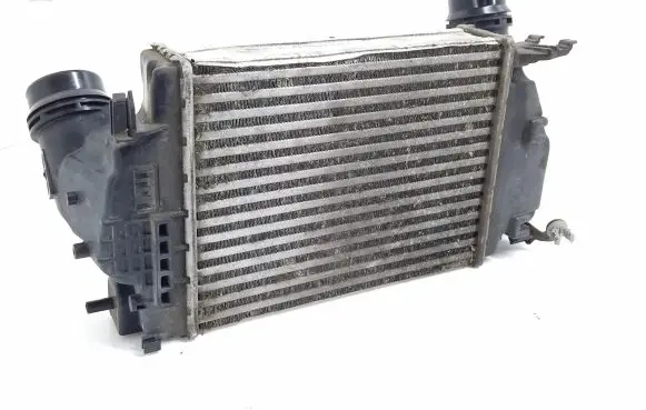 Renault Espace V (RFC) Intercooler radiator 144614EB1A M168253A MM117DBA