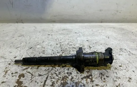Citroen C5 Fuel injector 0445110297
