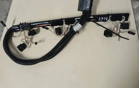 BMW 1 F20 F21 Fuel injector wires 7592511