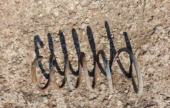 Suzuki Swift I Front coil spring 