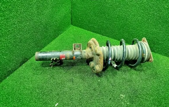 Renault Koleos II Front shock absorber with coil spring 543028658R 824903015418