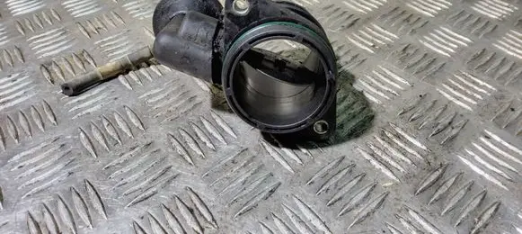 Citroen Xsara Picasso Throttle valve 9638300980