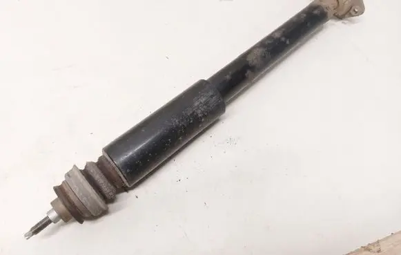 BMW X1 E84 Rear shock absorber/damper 6793714