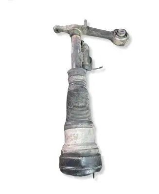 Mercedes-Benz S W220 Front shock absorber/damper 