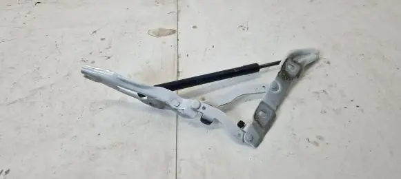 Tailgate/trunk/boot hinge