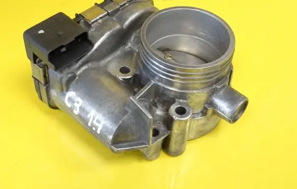 Citroen C3 Throttle body valve 0280750085