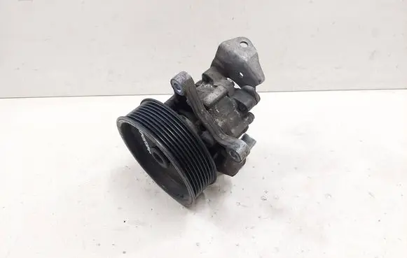 Mercedes-Benz R W251 Power steering pump 7691332157