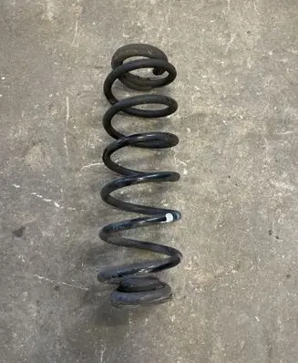 Rear coil spring