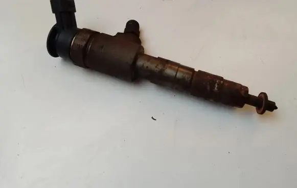 Peugeot 2008 I Fuel injector 027766