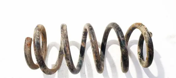 Toyota RAV 4 (XA30) Rear coil spring 