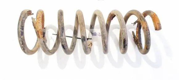 Rear coil spring