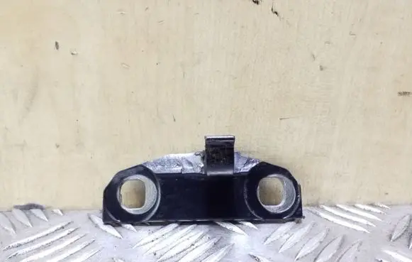 Volvo XC60 Rear door lower hinge
