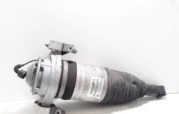 Porsche Cayenne (9PA) Rear shock absorber/damper 7P5616020AK