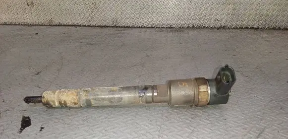 Volvo V70 Fuel injector 0445110298 30777526