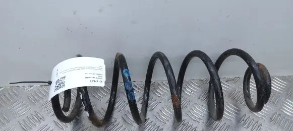 Peugeot 207 Rear coil spring