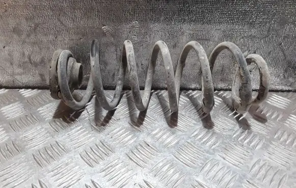 Rear coil spring