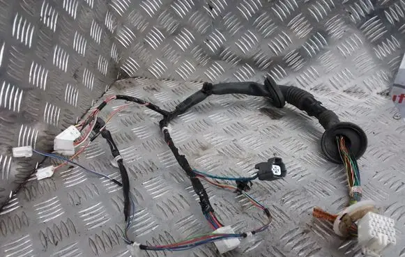 Front door wiring loom