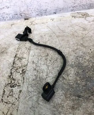 Volkswagen Touran II Camshaft speed sensor 9805940