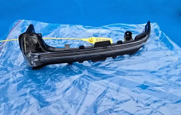 BMW X3 G45 Mirror indicator light 9451949