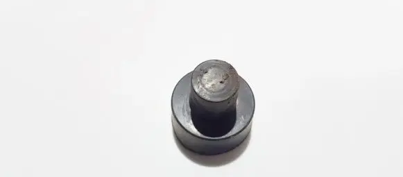 Coil spring mount