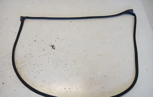 Hyundai Tucson IV NX4 Front door rubber seal 