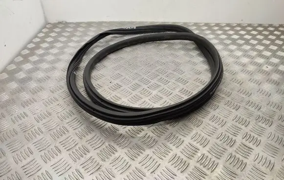 Citroen C3 Front door rubber seal 9813059580