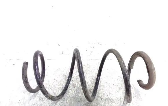 Renault Clio III Front coil spring
