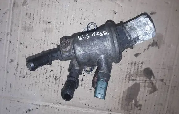 Thermostat/thermostat housing