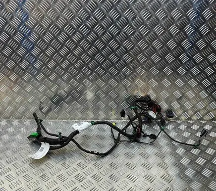 Porsche Panamera (971) Front door wiring loom 971971036 971971122A