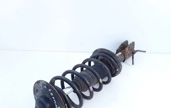 Chevrolet Captiva Front shock absorber/damper