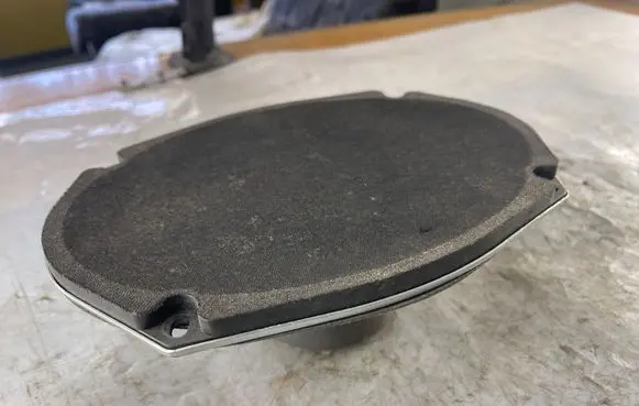 Rear door speaker
