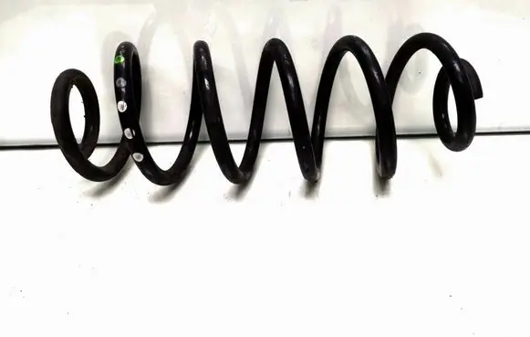 Rear coil spring